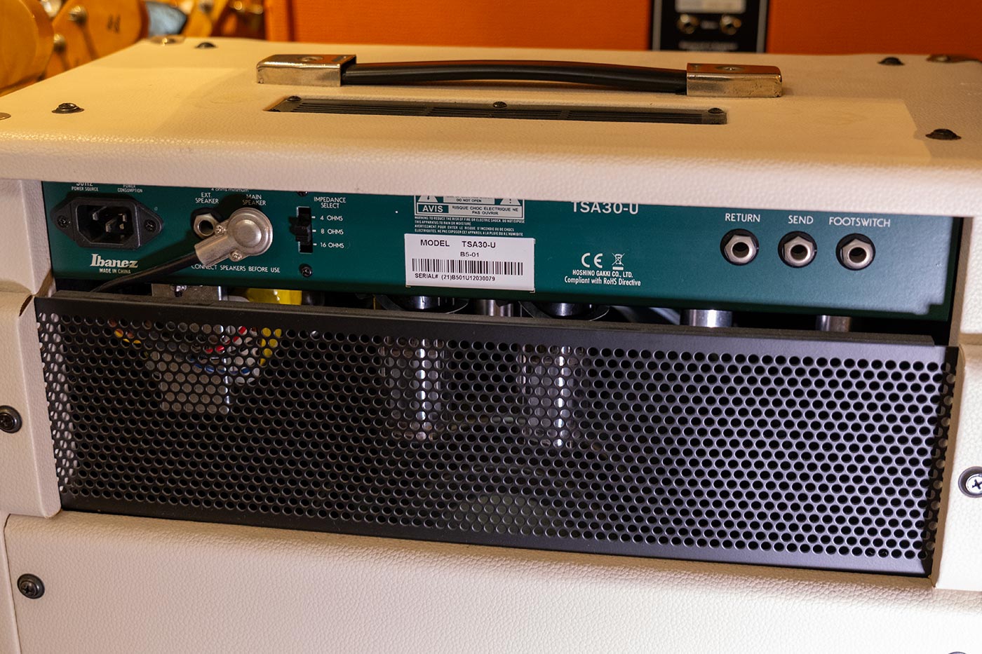 Ibanez TSA-30 Combo Tube