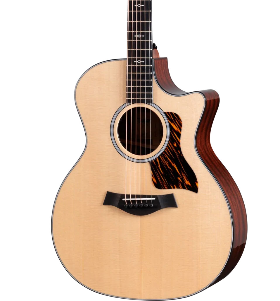 Taylor 314ce Next Generation
