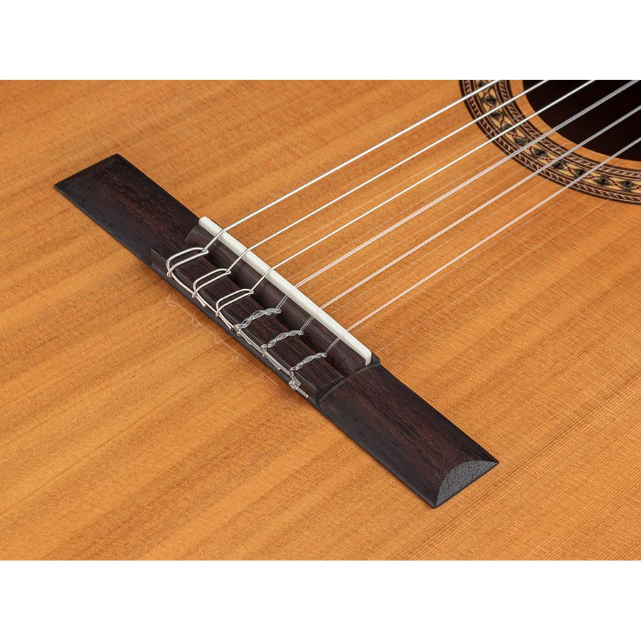 Salvador Cortez CC-2248CE narrow neck