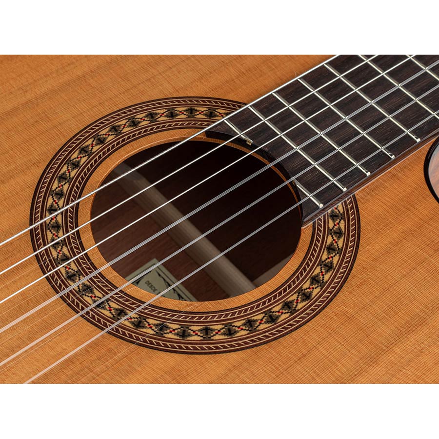 Salvador Cortez CC-2248CE narrow neck