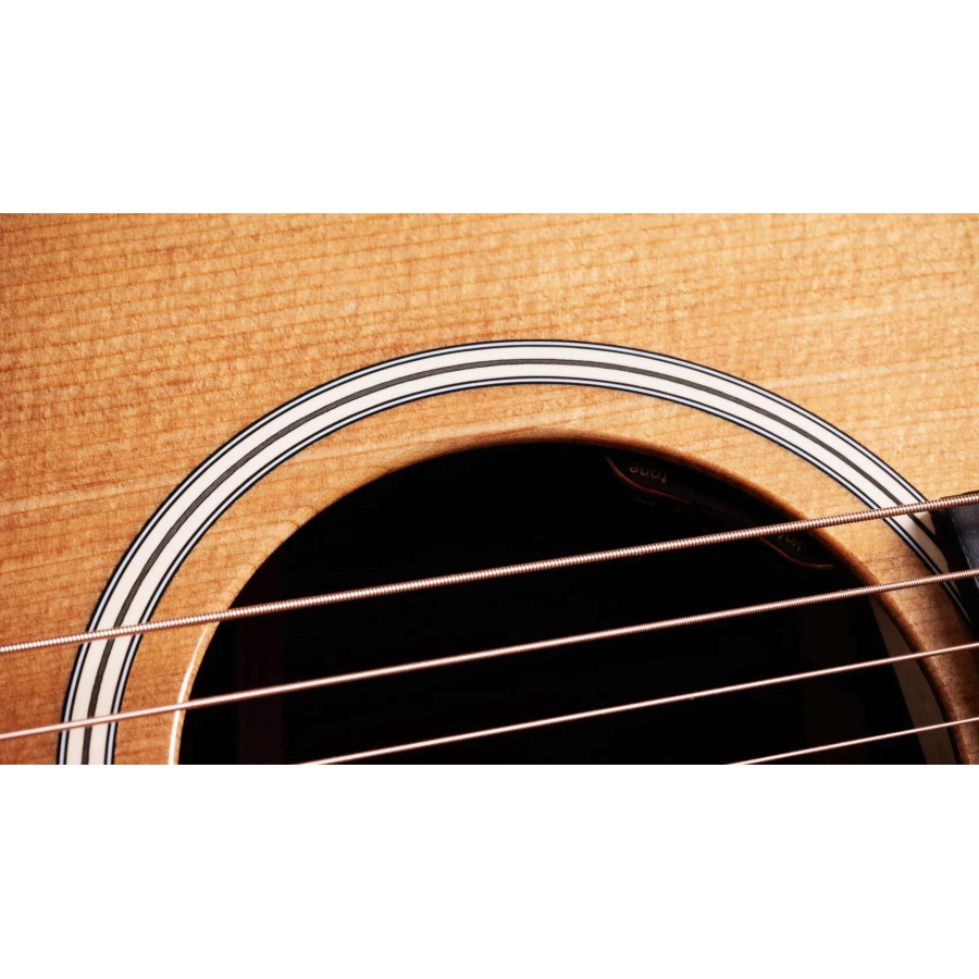 Taylor Gold Label 710e