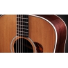 Taylor Gold Label 710e