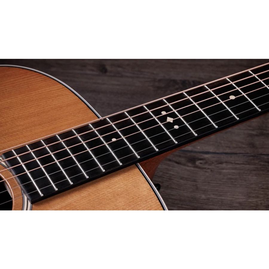 Taylor Gold Label 710e