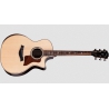 Taylor 814CE Next Generation