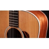 Taylor Gold Label 510e