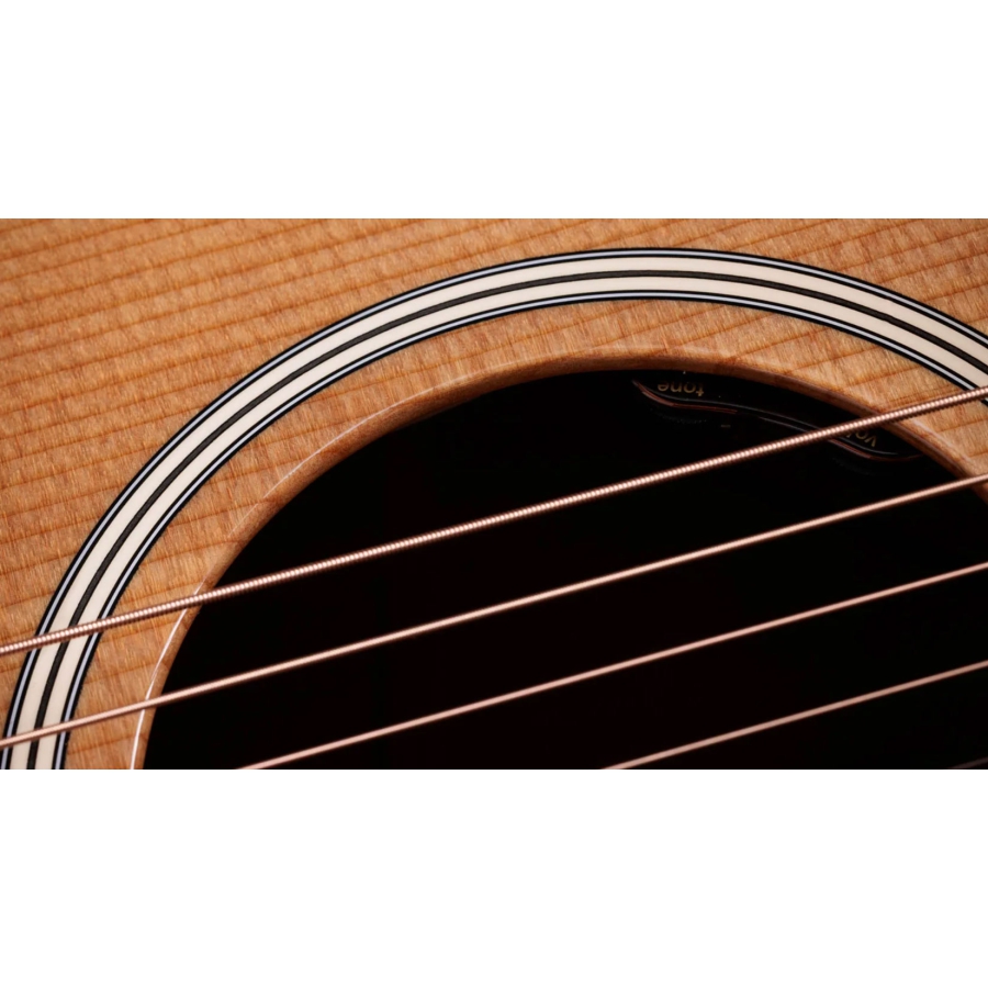 Taylor Gold Label 510e