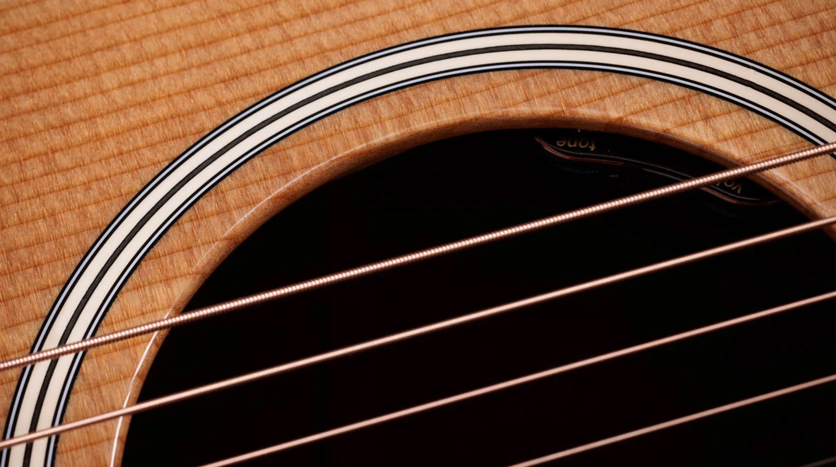 Taylor Gold Label 510e