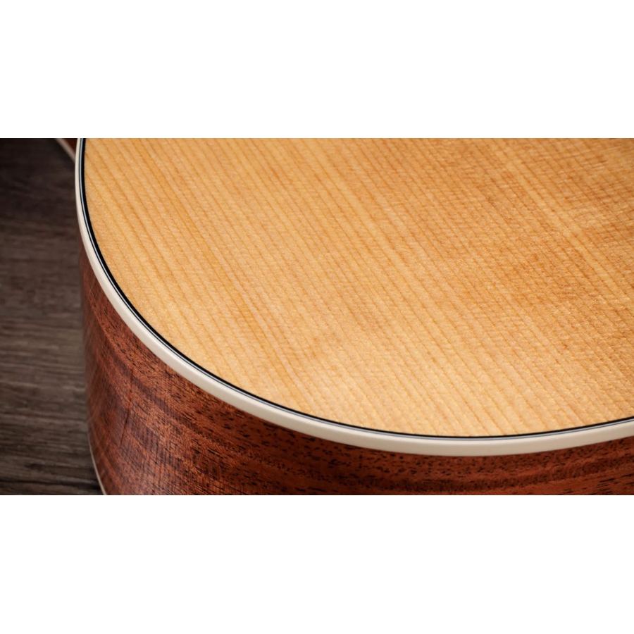Taylor Gold Label 510e