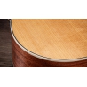 Taylor Gold Label 510e
