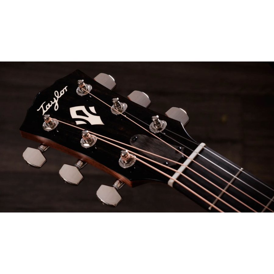 Taylor Gold Label 510e