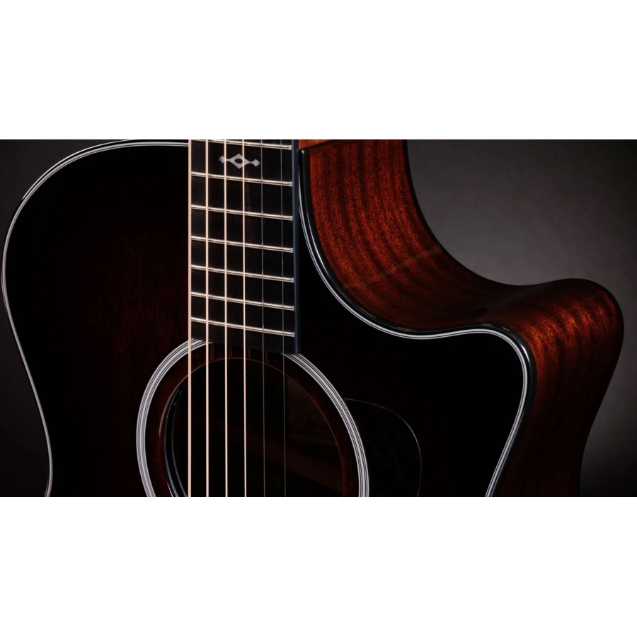 Taylor Next Generation 324ce