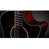 Taylor Next Generation 324ce