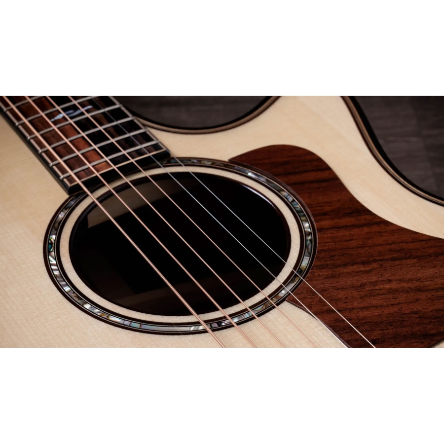Taylor Next Generation Builder's Edition 814ce