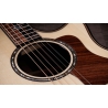 Taylor Next Generation Builder's Edition 814ce