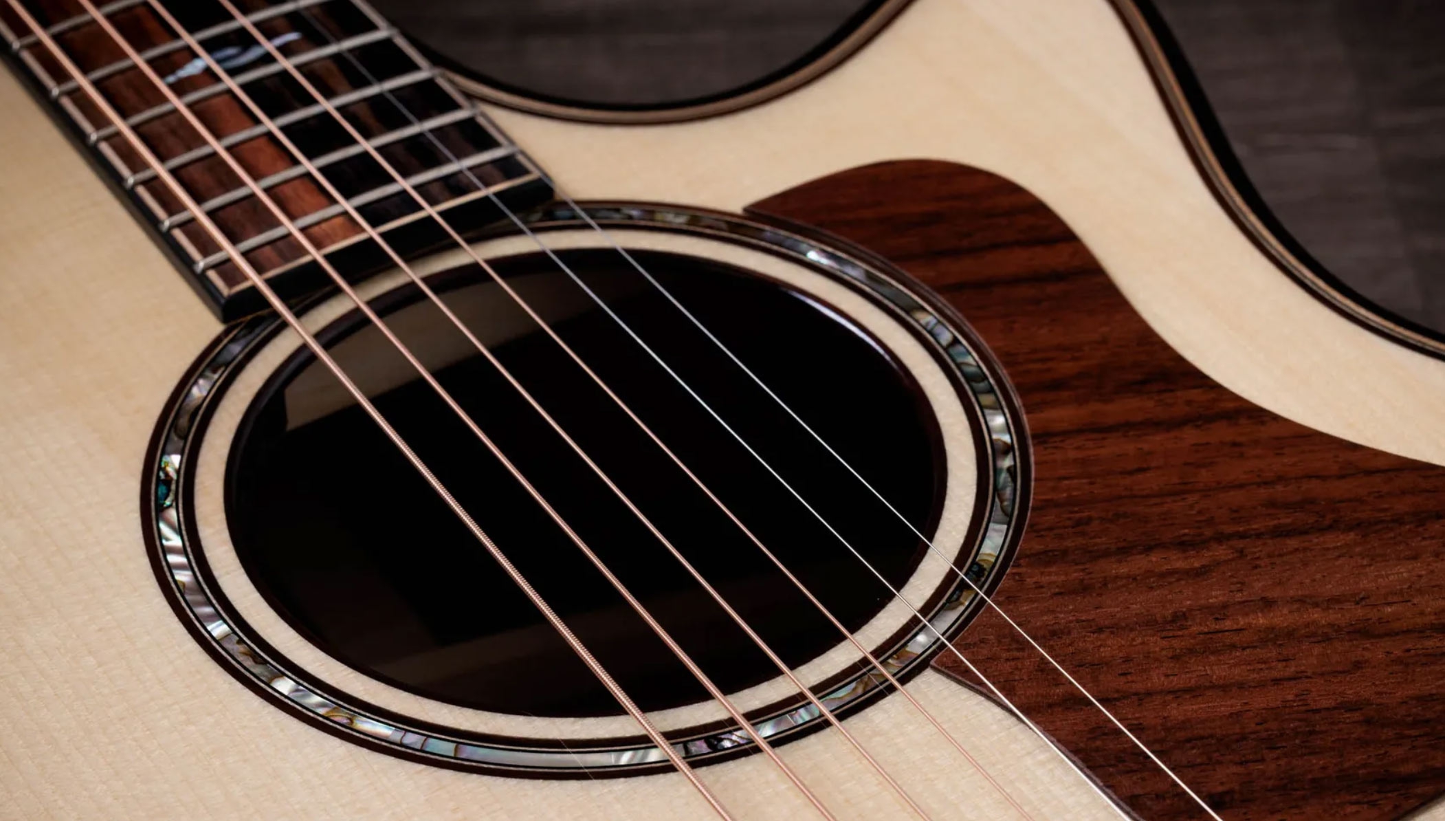 Taylor Next Generation Builder's Edition 814ce