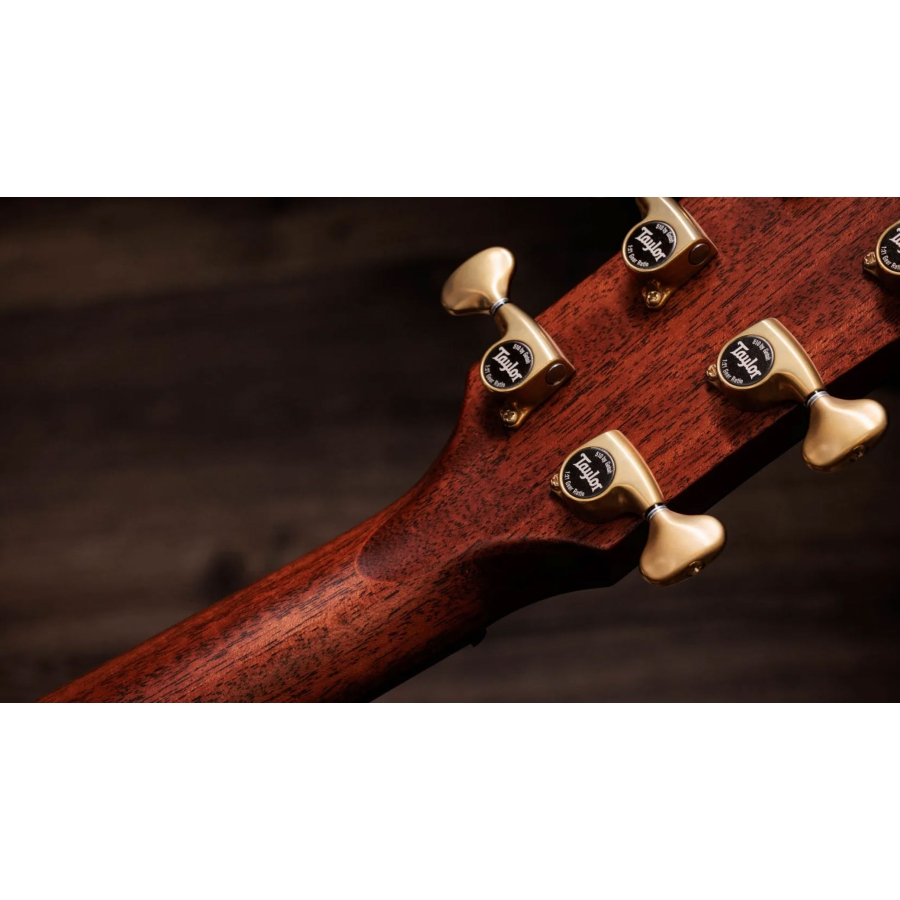 Taylor Next Generation Builder's Edition 814ce