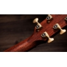Taylor Next Generation Builder's Edition 814ce