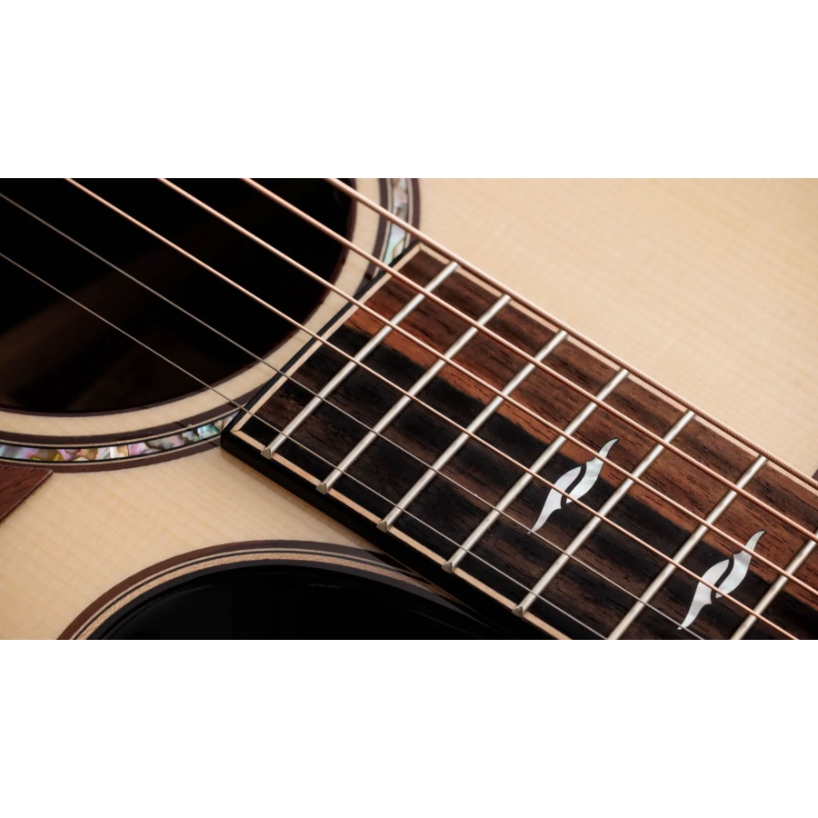 Taylor Next Generation Builder's Edition 814ce