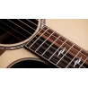 Taylor Next Generation Builder's Edition 814ce