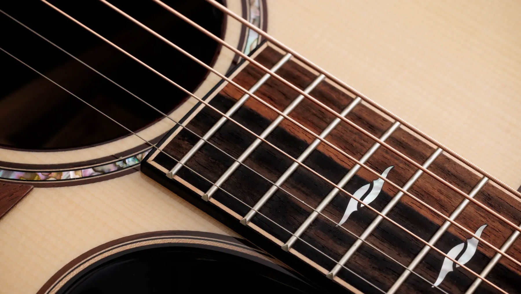Taylor Next Generation Builder's Edition 814ce