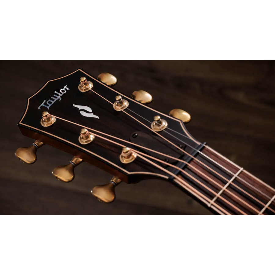 Taylor Next Generation Builder's Edition 814ce