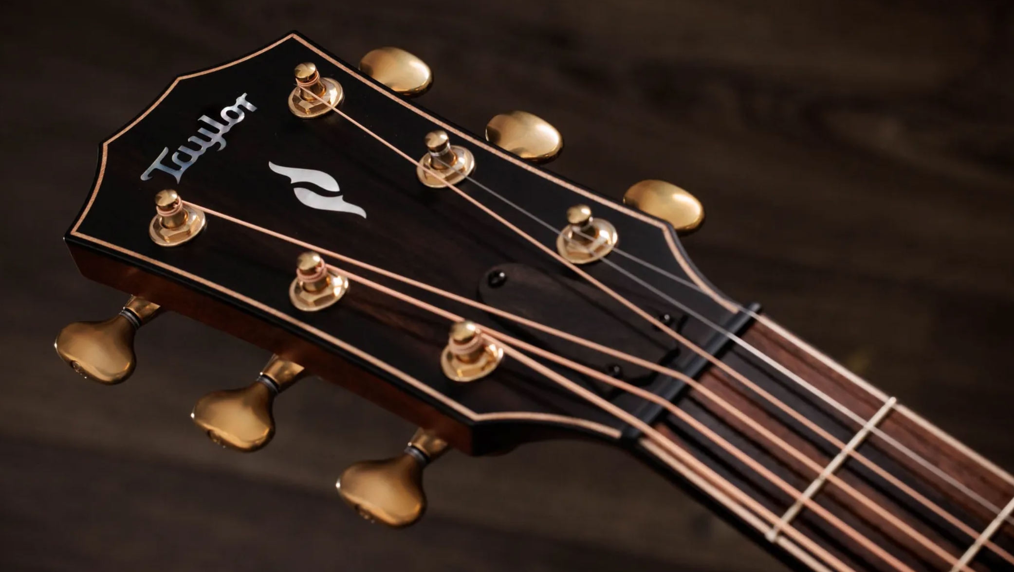 Taylor Next Generation Builder's Edition 814ce