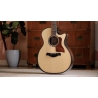 Taylor Next Generation Builder's Edition 814ce