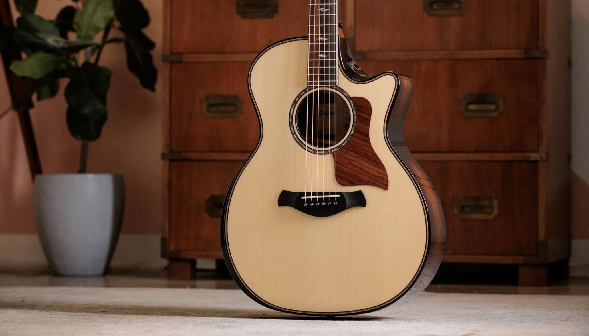 Taylor Next Generation Builder's Edition 814ce