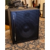 AER Amp Two Bass