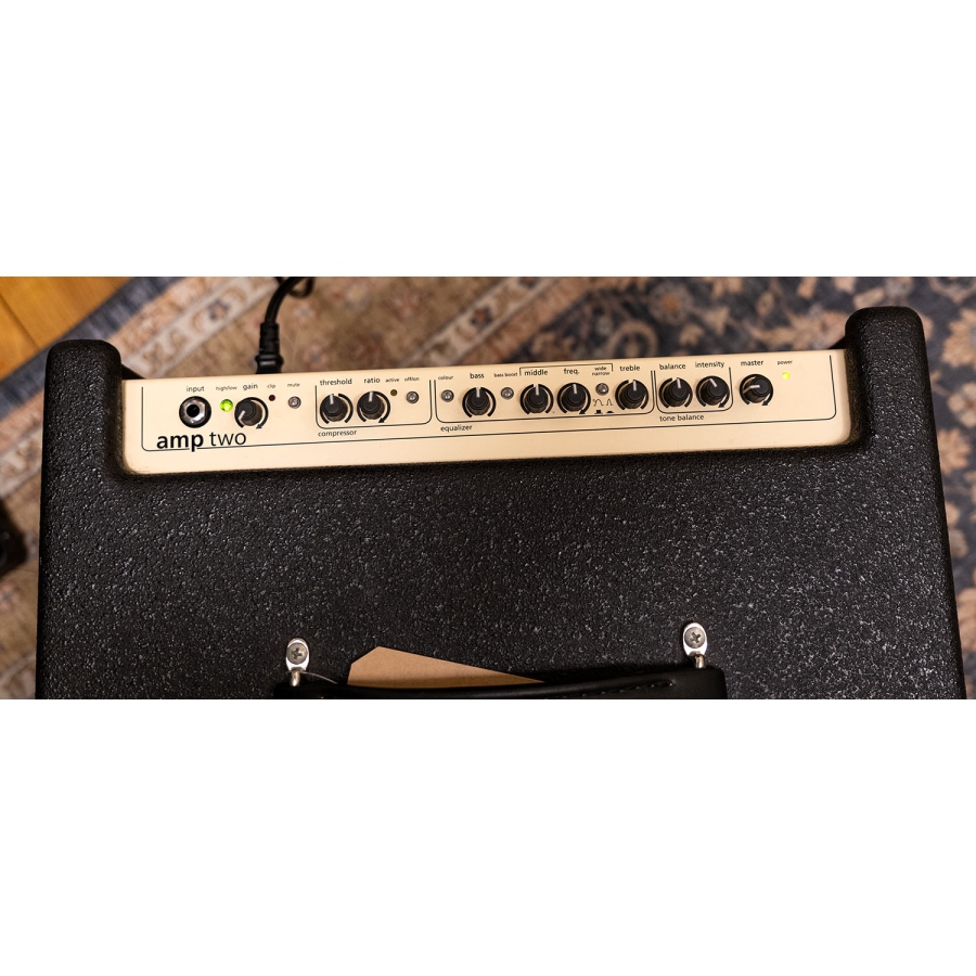 AER Amp Two Bass