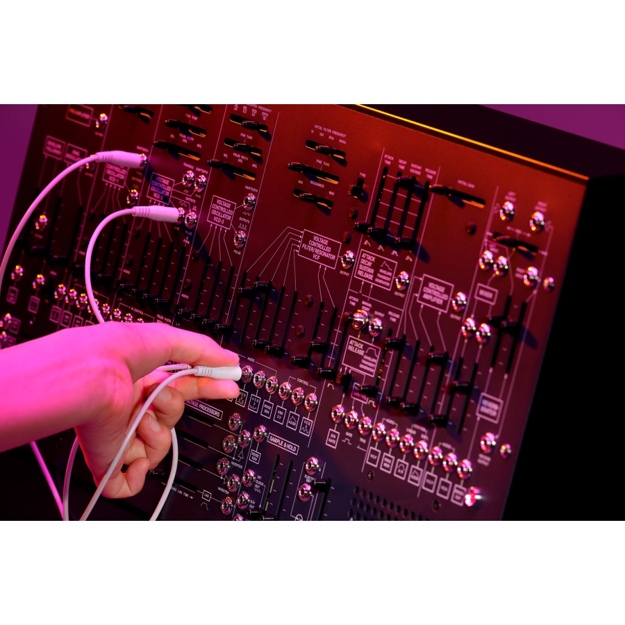 Arp 2600 Module analoog semi-modular synthesizer