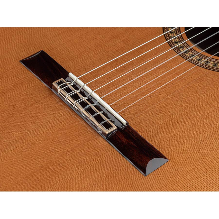 Salvador Cortez CC-6048CE narrow neck