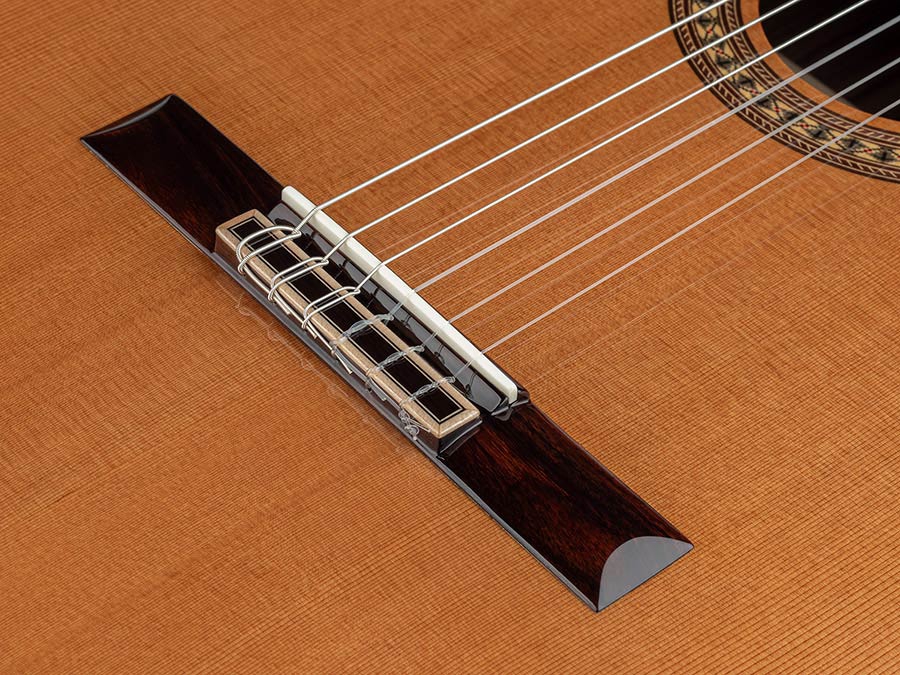 Salvador Cortez CC-6048CE narrow neck