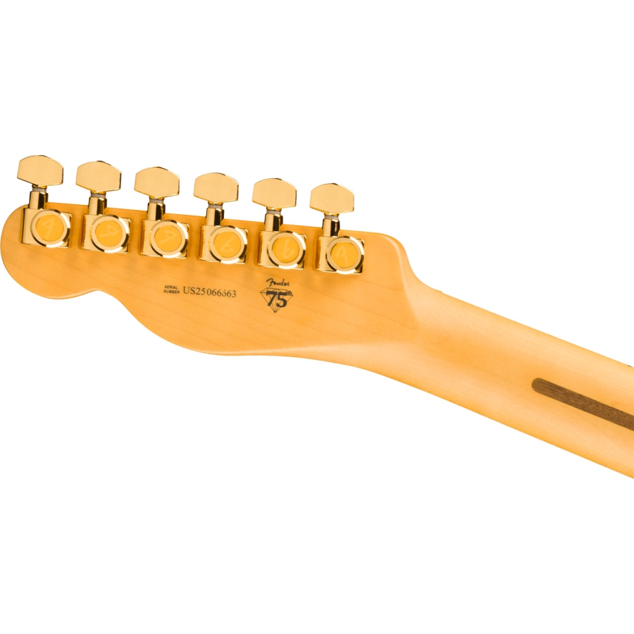 Fender 75th Anniversary AMPRO Custom Telecaster MN 2TS