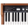 Crumar DK61 USB organ controller