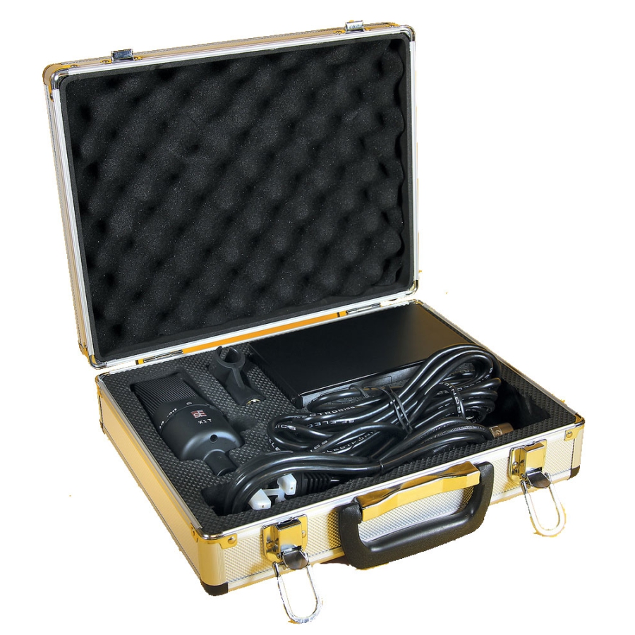 sE Electronic sE X1 T