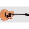 Taylor 514ce Next Generation Natural