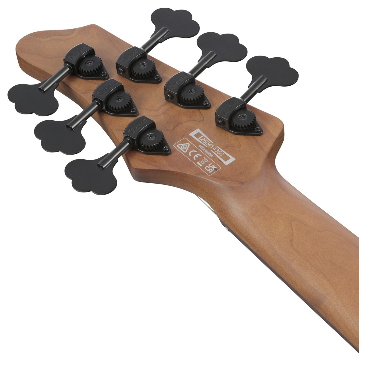 Ibanez MDM1606 NML Natural Mocha Low Gloss