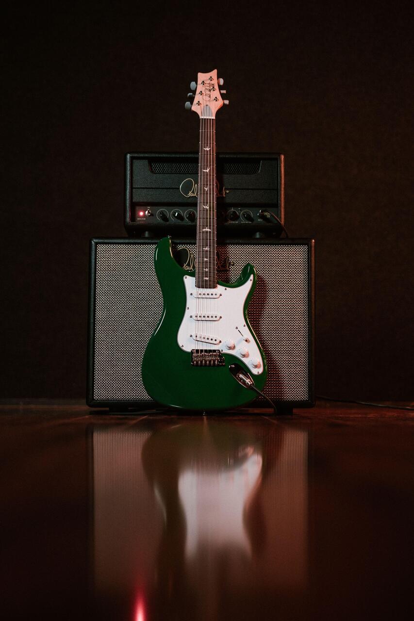 PRS SE Silver Sky RW Laurel Green
