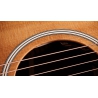 Taylor Gold Label 712e