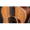 Taylor Gold Label 712e