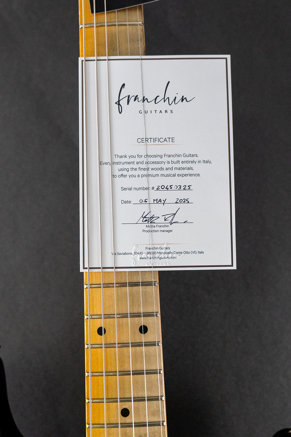 Franchin Guitars Mercury 2025