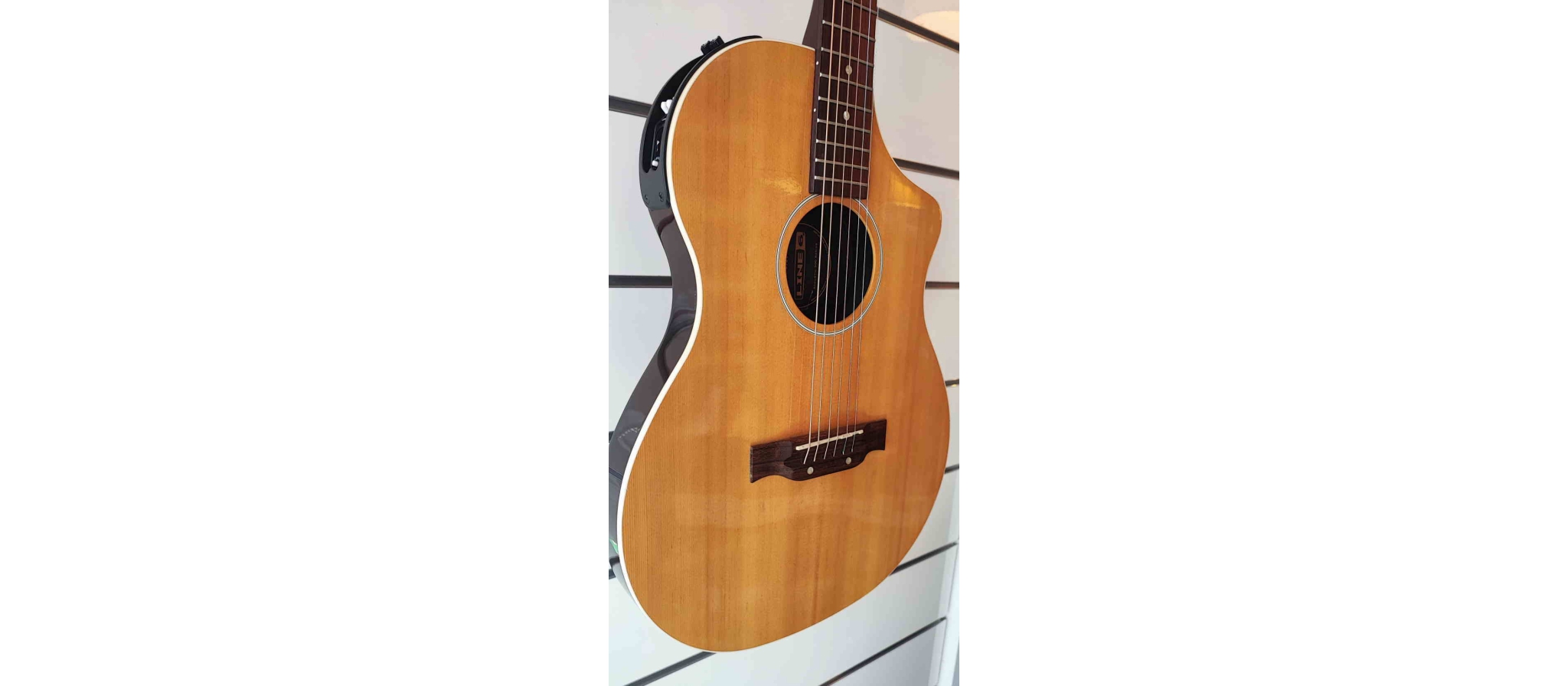 Line 6 Variax Acoustic 300 Steel | DijkmanMuziek