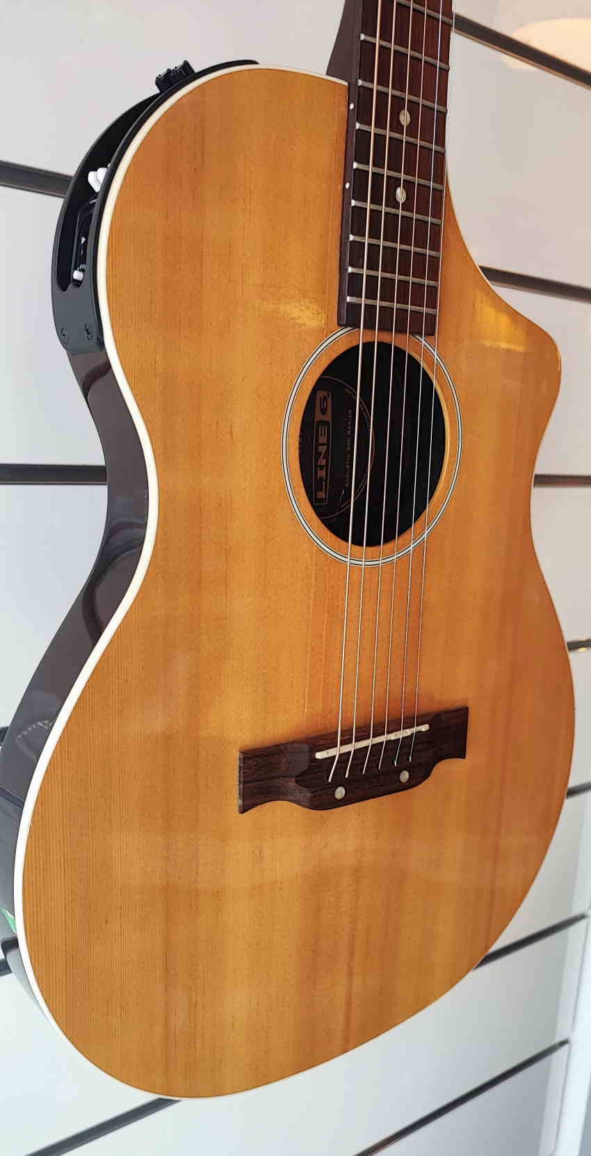 De Line 6 Variax Acoustic 300 Steel