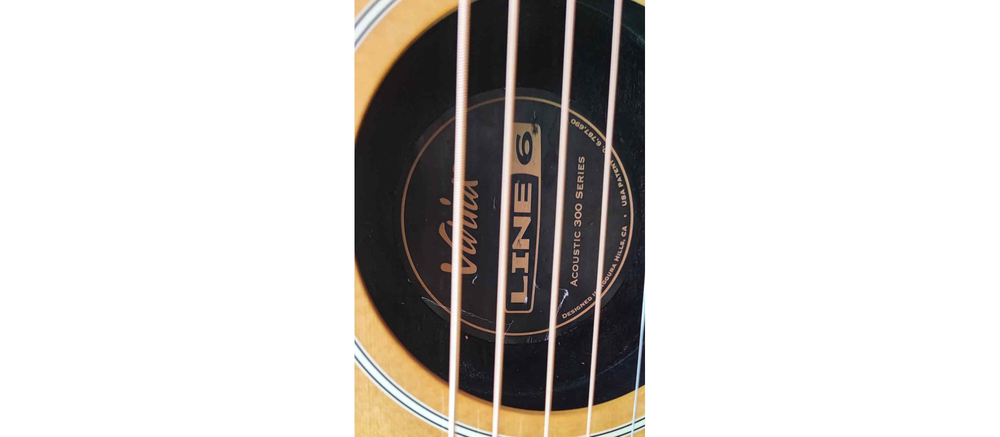 Line 6 Variax Acoustic 300 Steel | DijkmanMuziek