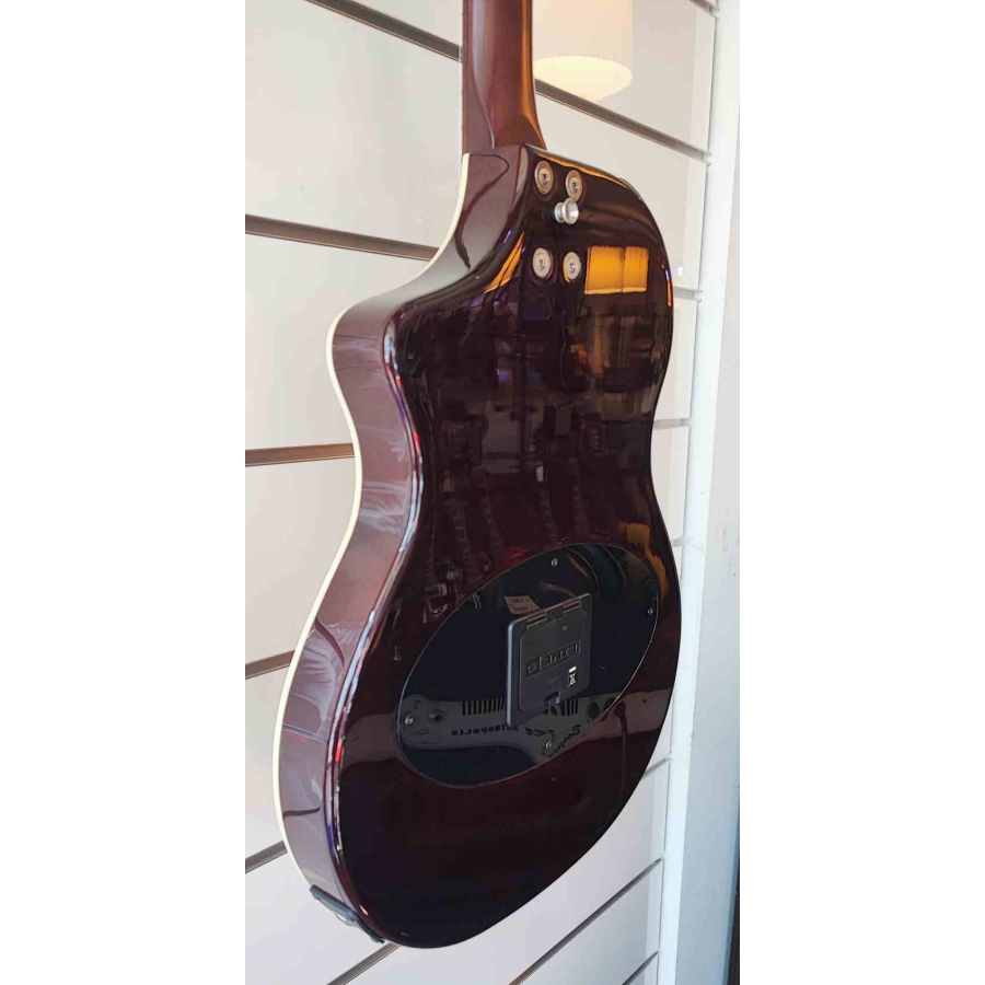 De Line 6 Variax Acoustic 300 Steel