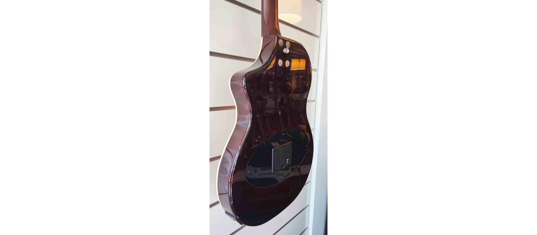 Line 6 Variax Acoustic 300 Steel | DijkmanMuziek