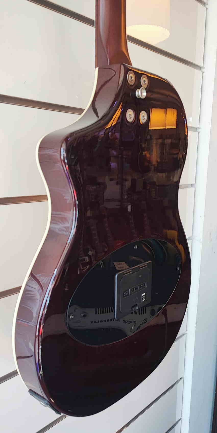 De Line 6 Variax Acoustic 300 Steel