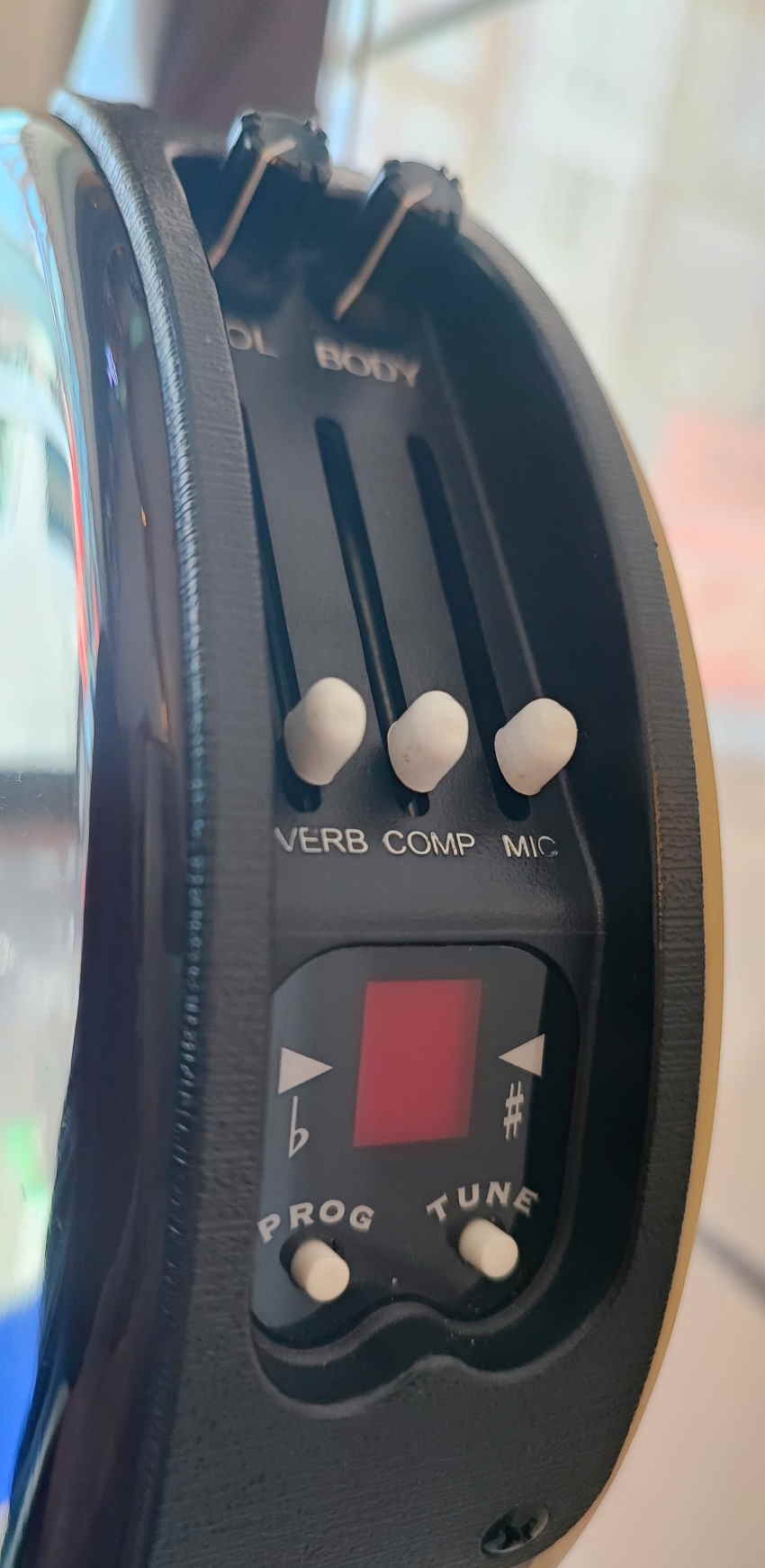 De Line 6 Variax Acoustic 300 Steel