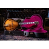 Gibson L5 1977